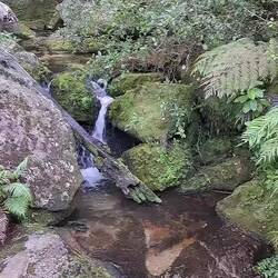 A little 360 view of the path crossing a river.
