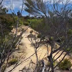 Tap your inner K Carpenter & sing w/ me: 🎼 I'm up on top of the world lookin' down on creation 🎶