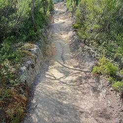 The trail was pretty diverse structurally speaking.