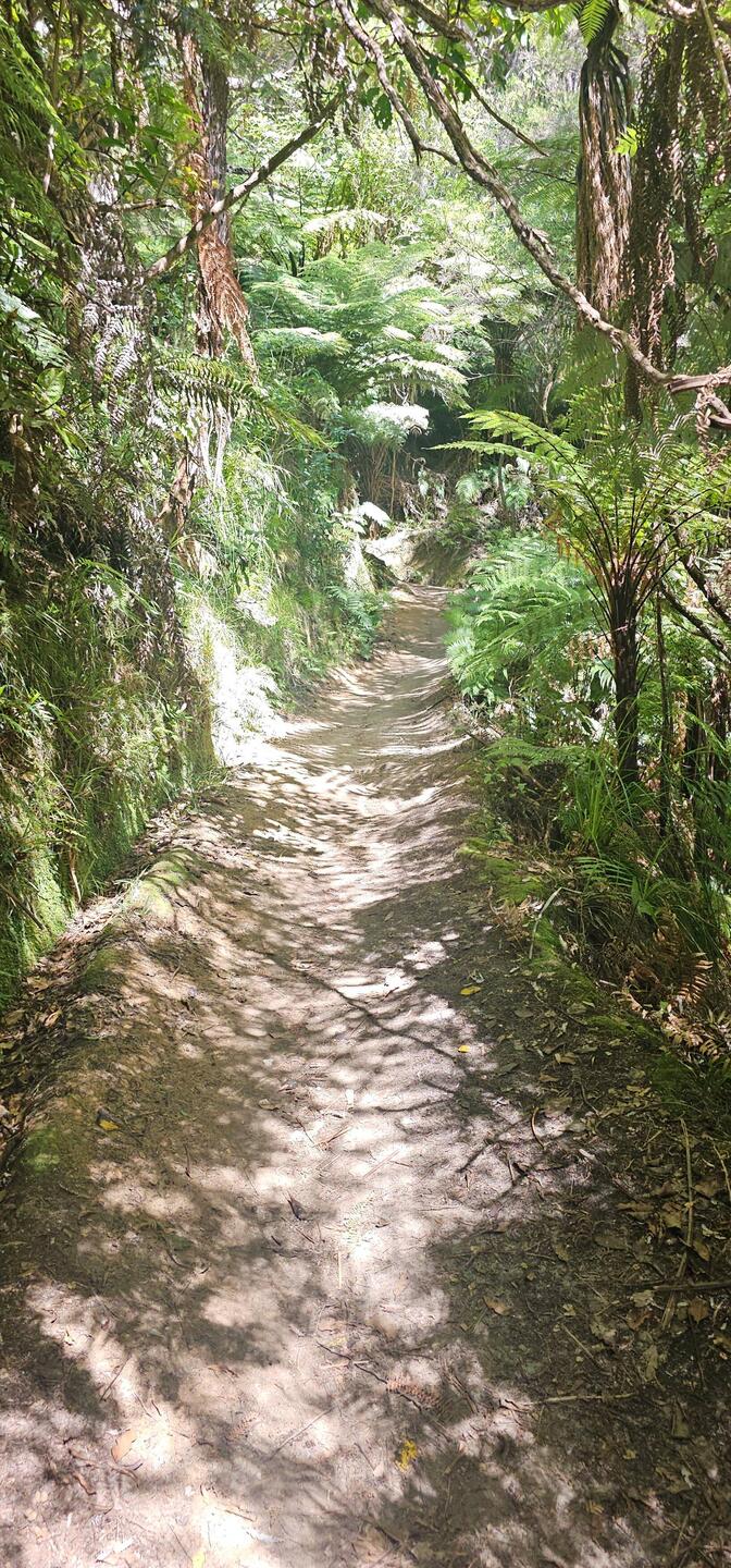 Part of the path along our hike.