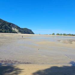 Being low tide, the area had very little water.