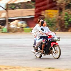 Transportiert wird alles. Wischmopalarm.