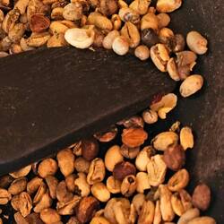 Tour bei Mr Vieng Coffee homestay.