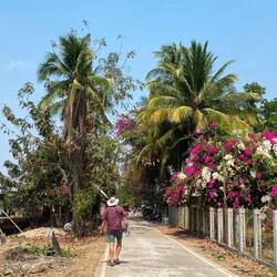 Und alles blumenumrankt