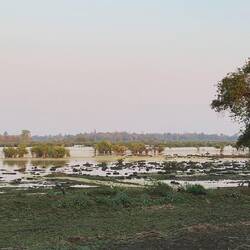 Unser Blick von der Terrasse auf das Feuchtgebiet