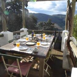 Breakfast in the sun