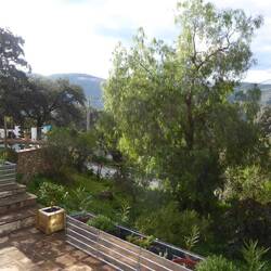 View from the terrace