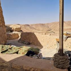 Teppich Händler unterm Teppich 🤭