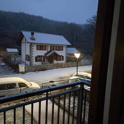 Lightly snowing at dawn