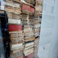 Wenn der Amtsschimmel übersiedelt