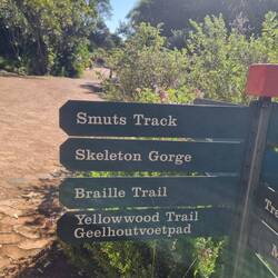Über den Smuts trail zum Skeleton Gorge trail
