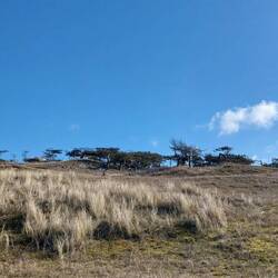 Hat etwas von Savanne.