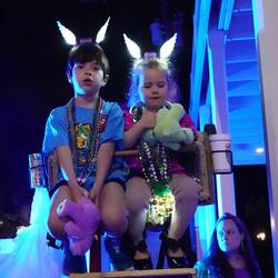 Kids on top of a ladder