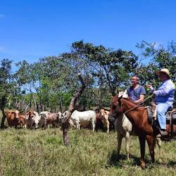 Quelle fière allure, immortalisée par une photographe panaméene 🤣