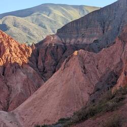 ... in die mehrfarbige Welt!