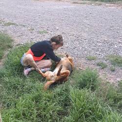 ... vielleicht bringt Mona ein lebendiges Souvenir mit heim 😉