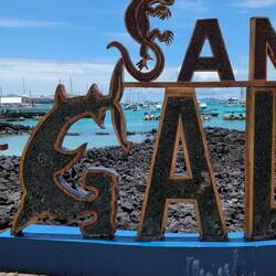Angekommen auf Santa Cruz