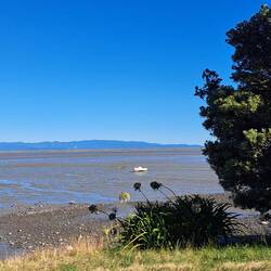 Some poor boat owner doesn't think they need to change their overnight mooring location.