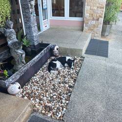 Mer sind herzlich begrüesst worde vor em Hotel 😎