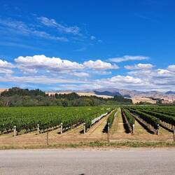 The landscapes in this area are nothing short of jaw-dropping.