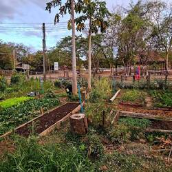 Es hat auch einen Gemüsegarten.
