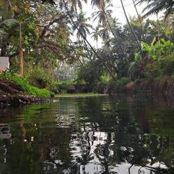 Wasser-Ansicht ins Paradies :-)