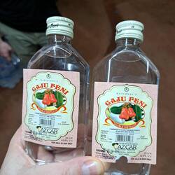 Wegzehrung, TaschenFeni (~50Cent). Die Cops sagen, wir sollen besser das teure Zeug holen 😅