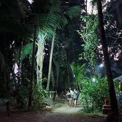 Dämmerungsidylle 💜