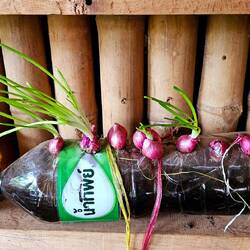 Nachschub in der Küche.