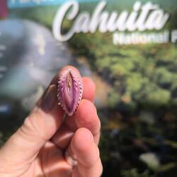 Und Muscheln haben sie hier! Leider auch viele abgebrochene Korallenstücke