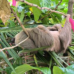 Und dann hängt eins einfach so