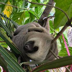 Im Baum am Parkplatz rum!