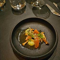 Die besagte Grapefruit-Pilz-Kombi🤤