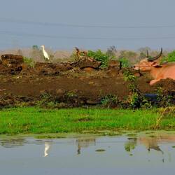Und eine Kombi davon