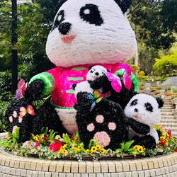 Hongkong Park – über Geschmack lässt sich streiten; der Park an sich ist wunderschön.