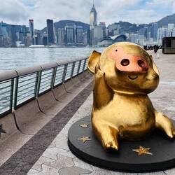 Wollen wir mal hoffen, dass das Glück bringt…