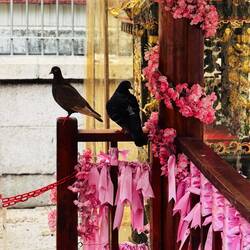 Eingang des Klosters