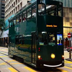 Ding Ding in elegant...