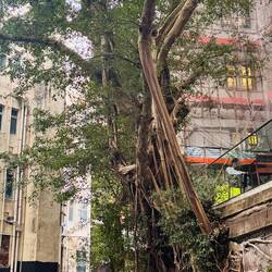 Da krallt sich einer fest…