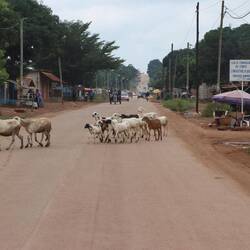 In Dolisie versuche ich Geld zu ziehen - es kommt nur wieder einmal nicht aus dem Schlitz