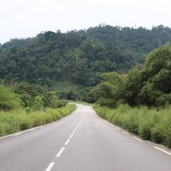 Die Straße wird zu einer Passstraße und führt durch den Regenwald...
