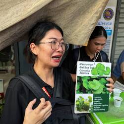 Irgendein sehr gesundes grünes Getränk das auch sehr gesund schmeckt