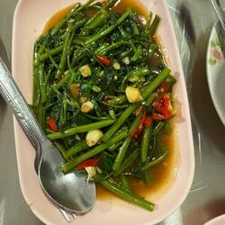 Ultrascharfer Algensalat.... die fresse brennt 🔥