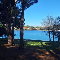 Insel Koversada mit vielen schattenspendenden Bäumen