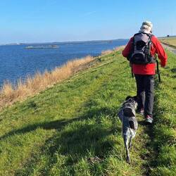 Denn wir dürfen 2 km oben auf dem Deich bleiben!😁👍
