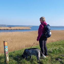 Noch ist der Welt in Ordnung. (Frei nach Popolski)