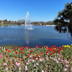 City Park
