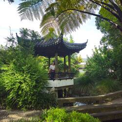 Jardin chinois du centre ville