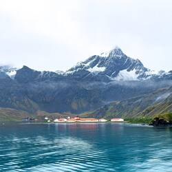 White buildings = research station; in the mist on the left are the whaling station ruins.