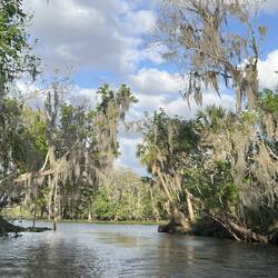 Going through the cut between the St. John's and Hontoon Dead Rivers, with lots of neat bird houses.